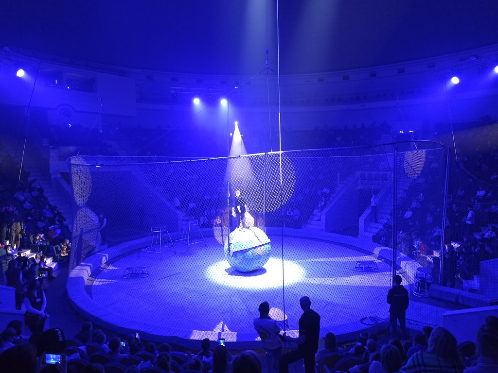 Губернаторская елка в Цирке: тигры, Дед Мороз и сказочное представление