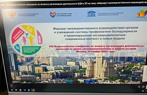 Представители Тульской области приняли участие в VIII Всероссийском совещании по вопросу организации деятельности комиссий по делам несовершеннолетних 