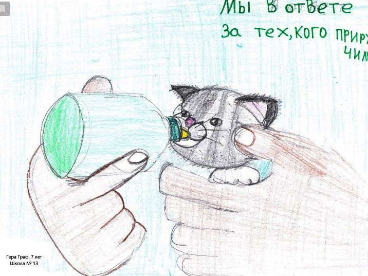 Рисунок Образ Милосердия 4 Класс Орксэ В Школу