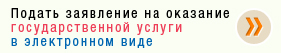 Подать заявление на оказание государственной услуги в электронном виде.jpg